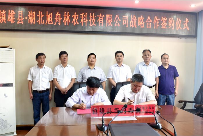 毛叶山桐子种植合作协议合同,毛叶山桐子产业