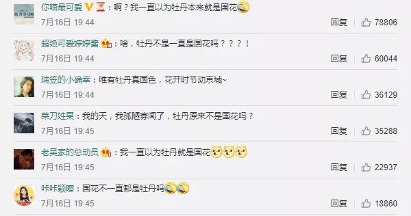 国花牡丹的养殖方法和注意事项,国花牡丹简笔画图片