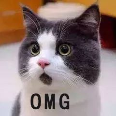 世界上最长寿的五种动物,养动物可以长寿