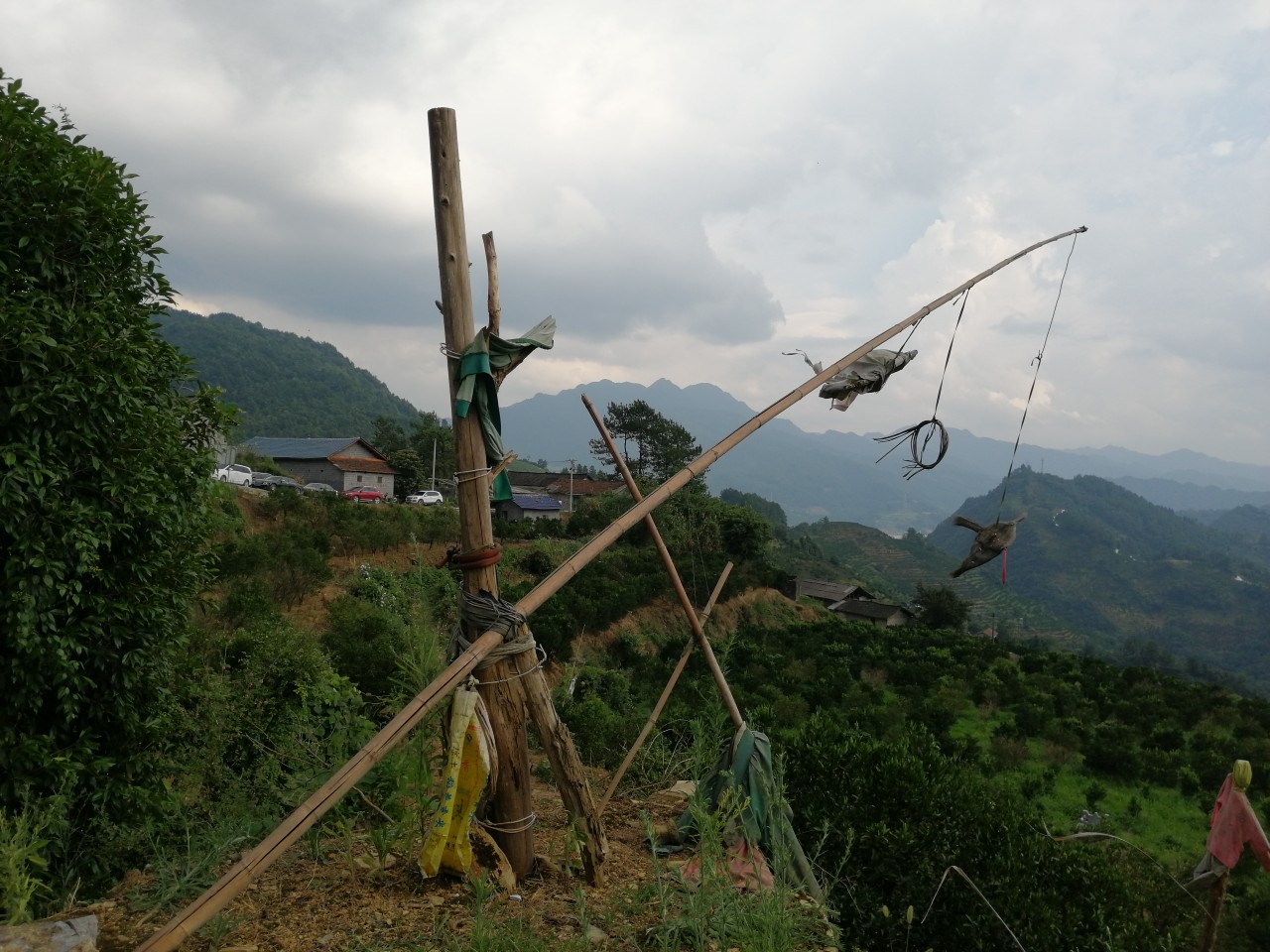 继续努力在钓鱼的路上,我不在钓鱼就在去钓鱼的路上图片