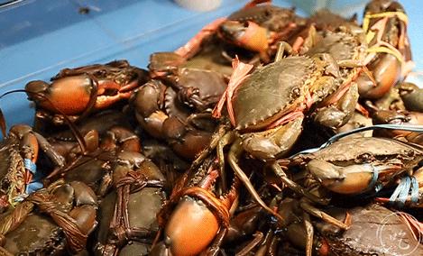 5.8折！99年开的「不夜城餐厅」，90%老上海人都吃过の档口变潮了…