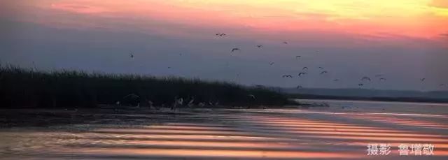 单县最值得去的地方,单县值得去的地方