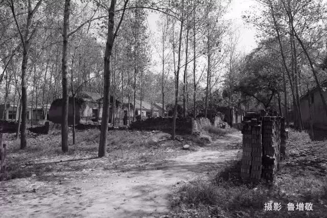 单县最值得去的地方,单县值得去的地方