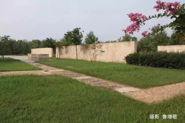 单县最值得去的地方,单县值得去的地方