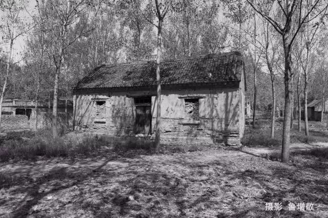 单县最值得去的地方,单县值得去的地方