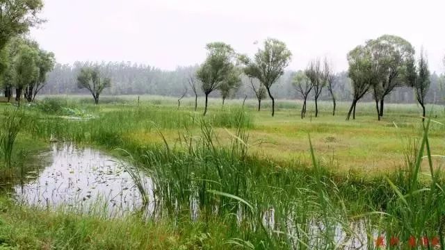 单县最值得去的地方,单县值得去的地方