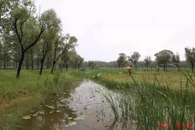 单县最值得去的地方,单县值得去的地方