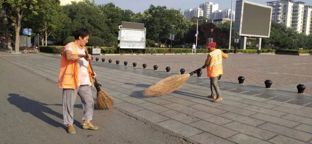 高温下，磁县娇艳的“城市黄玫瑰”
