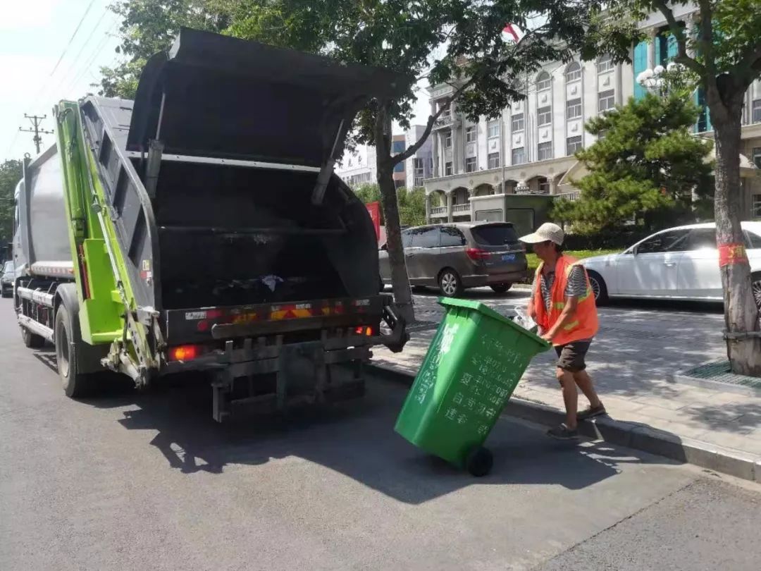 高温下，磁县娇艳的“城市黄玫瑰”