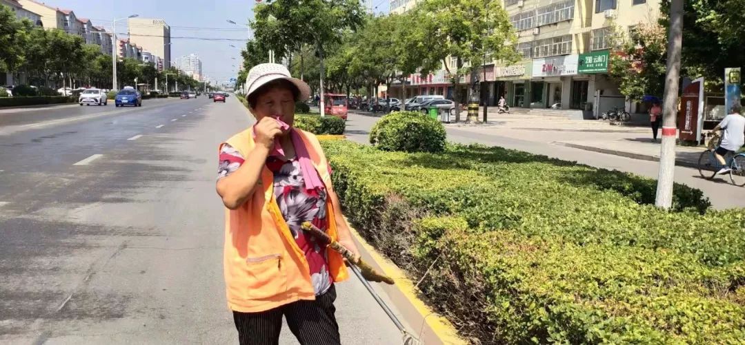 高温下，磁县娇艳的“城市黄玫瑰”