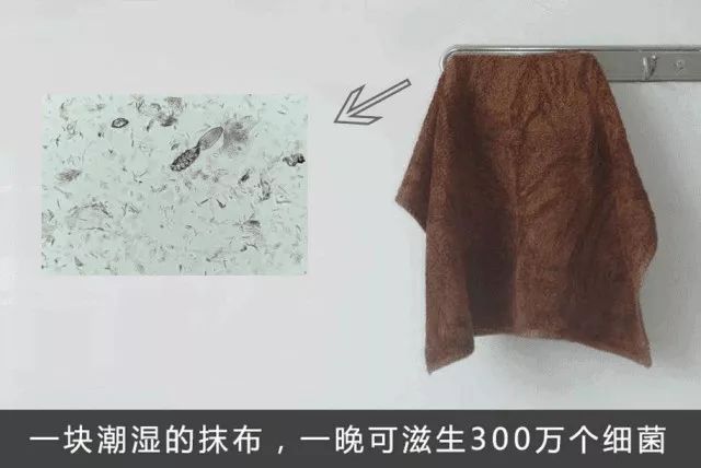 神奇去油污抹布,椰壳神奇去油抹布