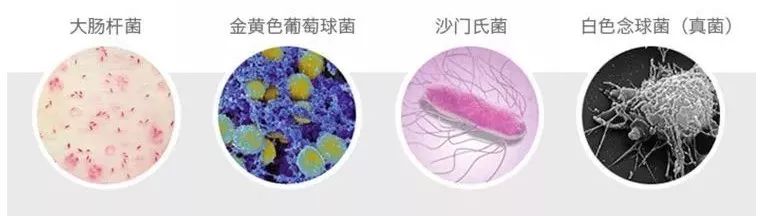 神奇去油污抹布,椰壳神奇去油抹布