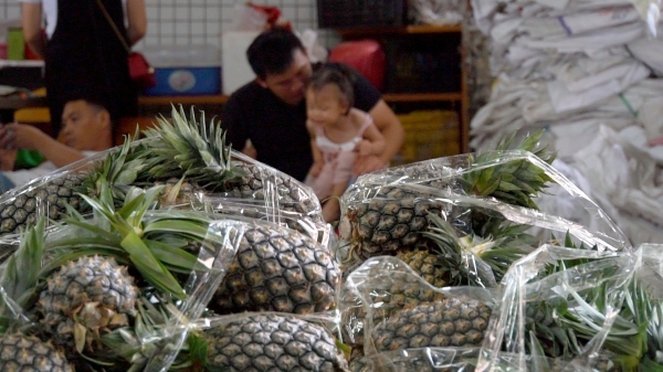 广州市水果市场热闹吗,广州水果市场有杨梅