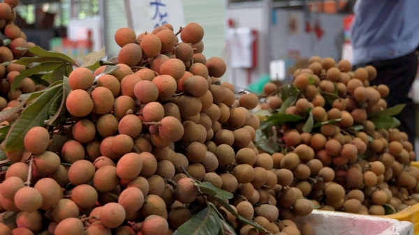 广州市水果市场热闹吗,广州水果市场有杨梅