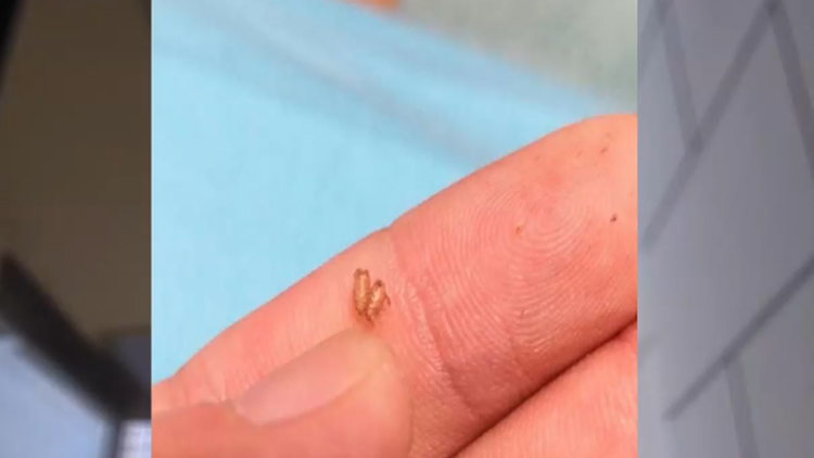 已入住小区的业主关心什么问题,小区一百户人家