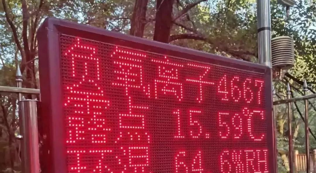 围观|2019下半年，呼伦贝尔将大爆发！直接影响你的票子、车子、日子…