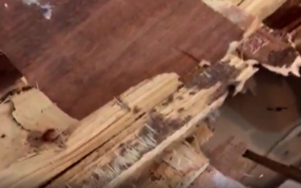 女业主交房被气哭,新房入伙女主人哭