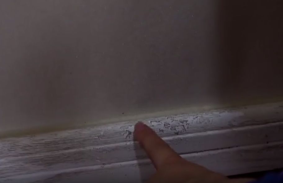 女业主交房被气哭,新房入伙女主人哭