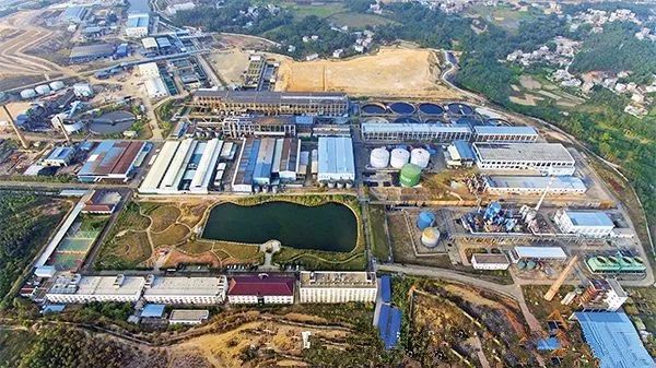 广西玉林世界500强企业,广西玉林龙头企业排名