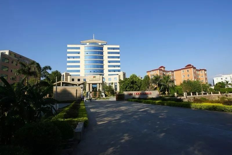 广西玉林世界500强企业,广西玉林龙头企业排名