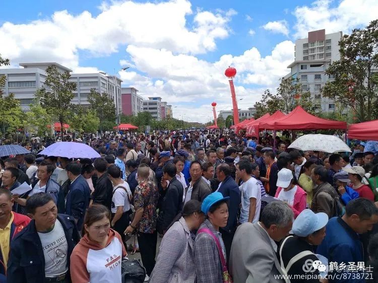 红路彩旗舞易地搬迁擂战鼓