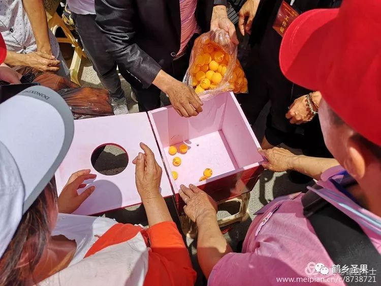 红路彩旗舞易地搬迁擂战鼓