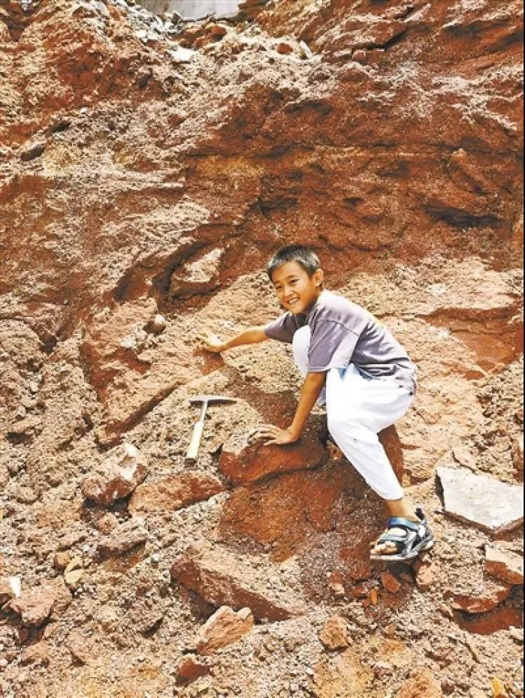 小学生发现了一窝恐龙蛋,小朋友挖到恐龙蛋