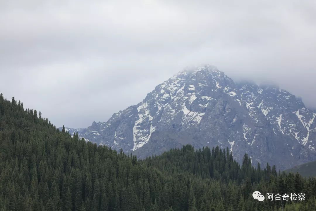 *疆新**是个好地方丨「记者的*疆新**日记」*疆新**沙湾——三张名片折射城市活力