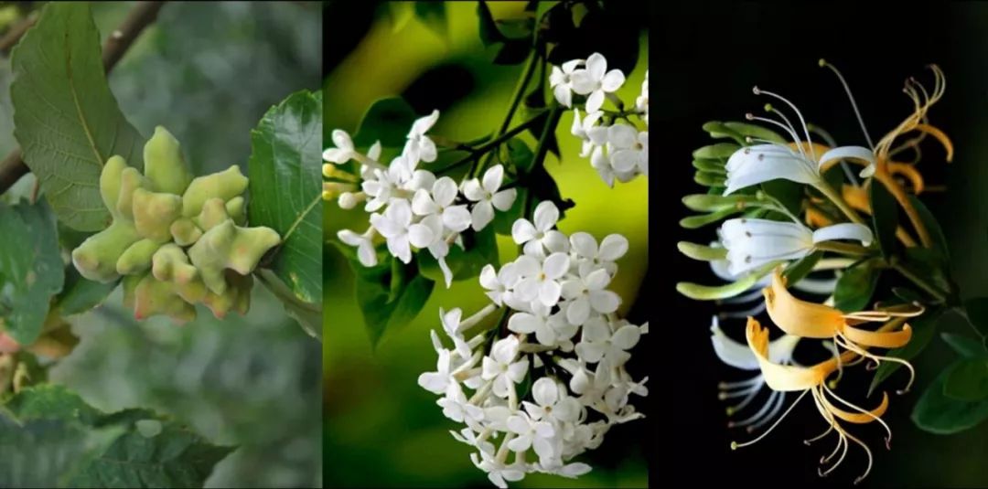 牙齿美白慕斯深层清洁,口臭牙黄去除神器