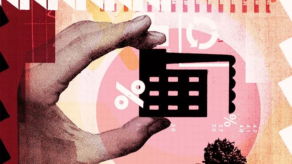 碧桂园:黑马真相