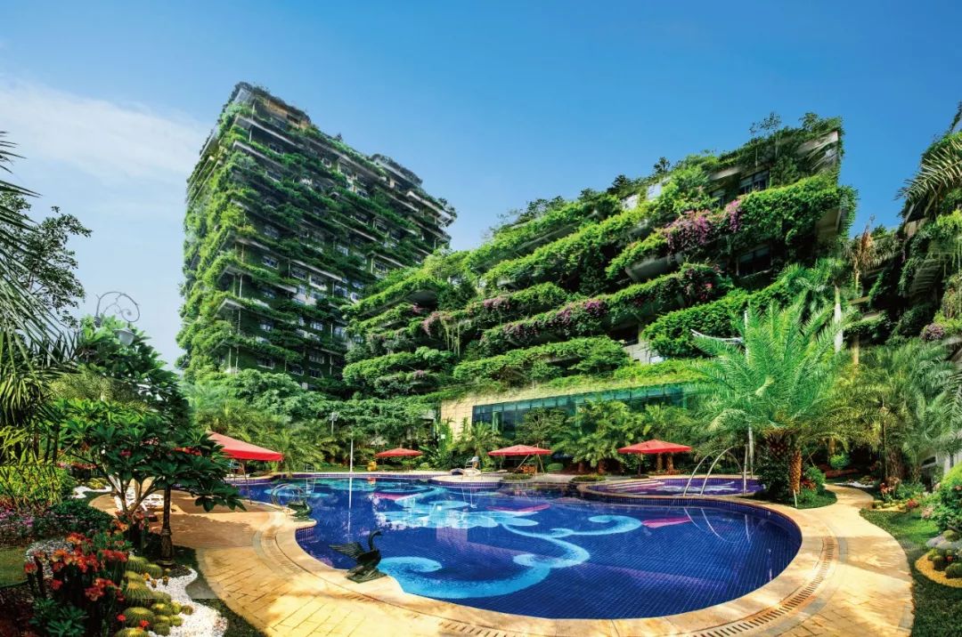 碧桂园:黑马真相