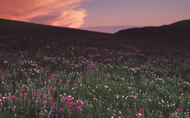 发现河北之美（51）|大型实景秀《木兰秋狝大典》震撼上演，燃爆这个夏天！