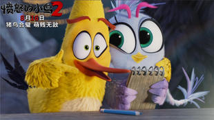 光头拯救世界,光头强逆转时光票房