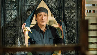 光头拯救世界,光头强逆转时光票房