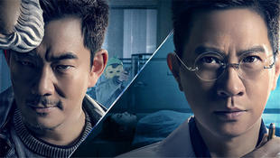 光头拯救世界,光头强逆转时光票房