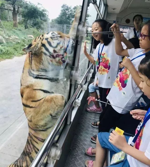 假期游夏令营,夏令营不玩手机