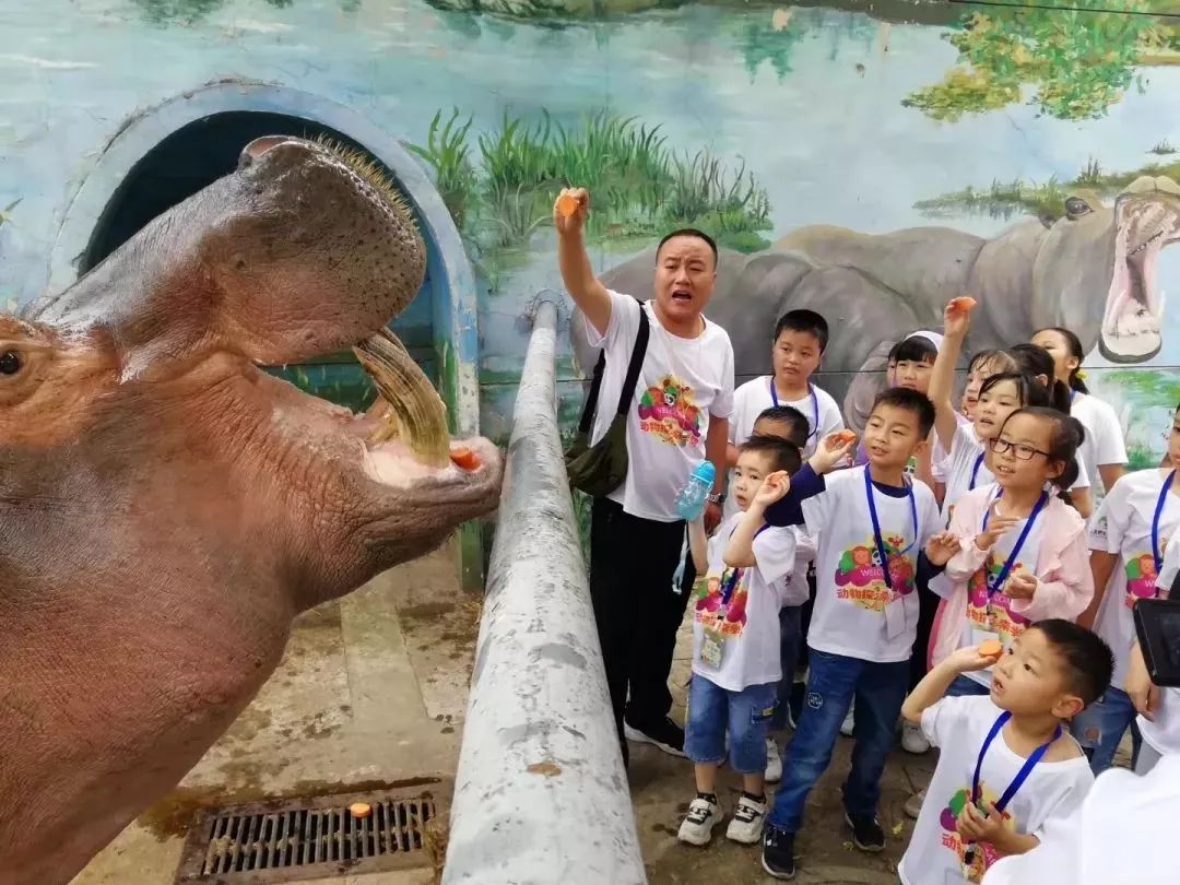 假期游夏令营,夏令营不玩手机