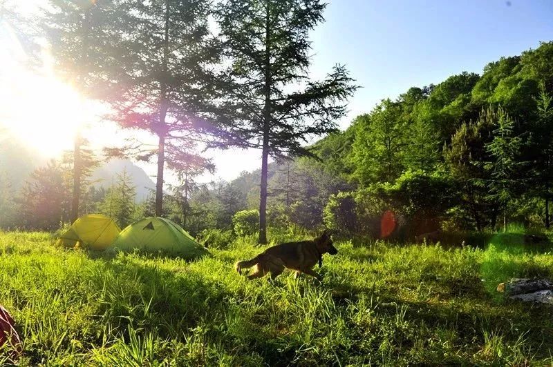 假期游夏令营,夏令营不玩手机