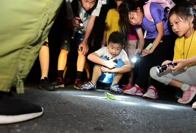 假期游夏令营,夏令营不玩手机