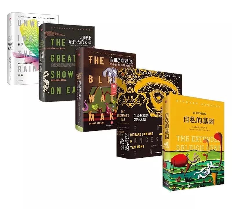 人类进化中男女差异,人类进化的渊源