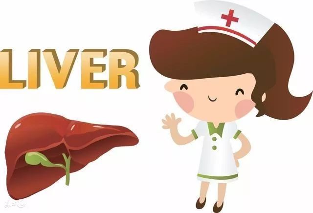 护肝，选择高支链氨基酸饮食