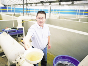 从海虾淡养中涵养安康水产品蕴藏的天赋