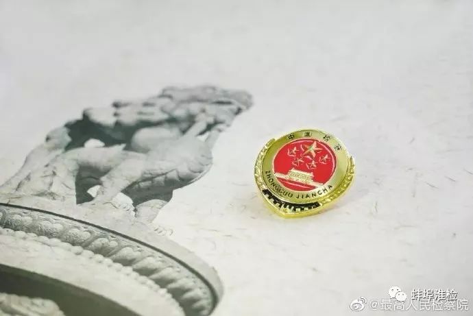 常务副检察长童建明,检察院童建明