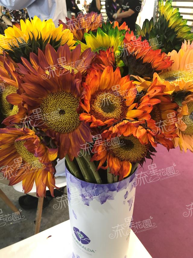 湖南流星花园鲜花店加盟品牌企业,流星花园花艺加盟店