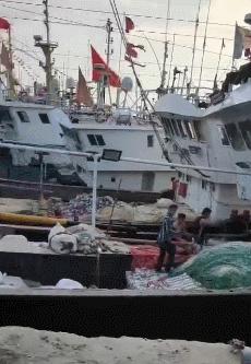 鑲ョ編鐨勫ぇ娴烽矞,鑲ョ編鐨勫ぇ姊瓙锜瑰張鏉ヤ簡