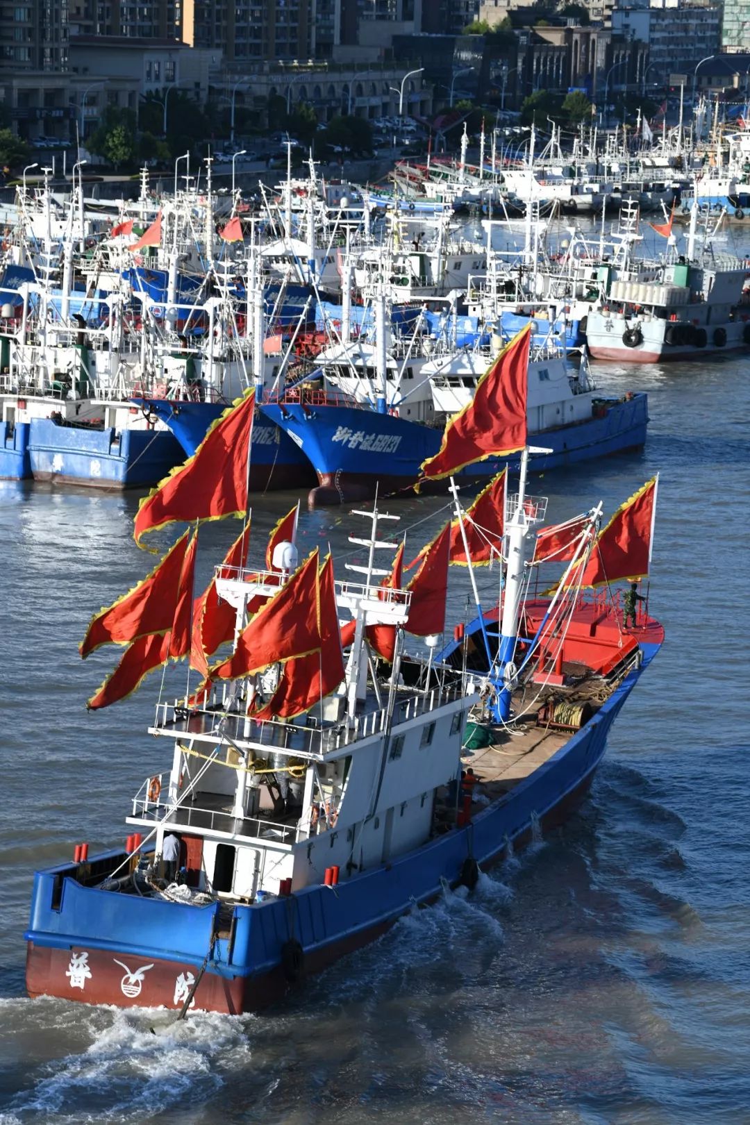 鑲ョ編鐨勫ぇ娴烽矞,鑲ョ編鐨勫ぇ姊瓙锜瑰張鏉ヤ簡
