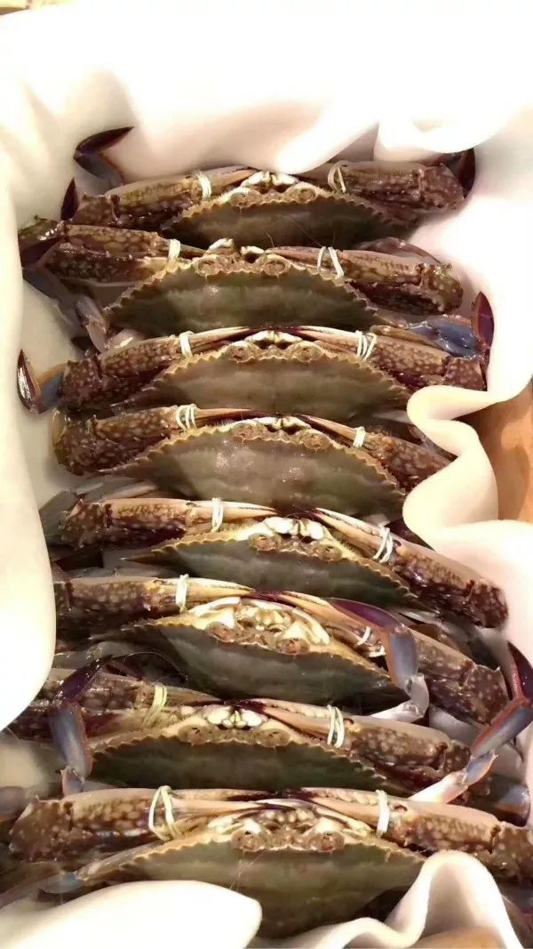 鑲ョ編鐨勫ぇ娴烽矞,鑲ョ編鐨勫ぇ姊瓙锜瑰張鏉ヤ簡