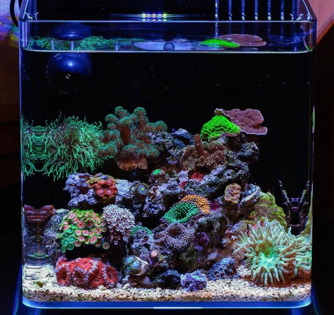 桌面微缸推荐,微缸展示