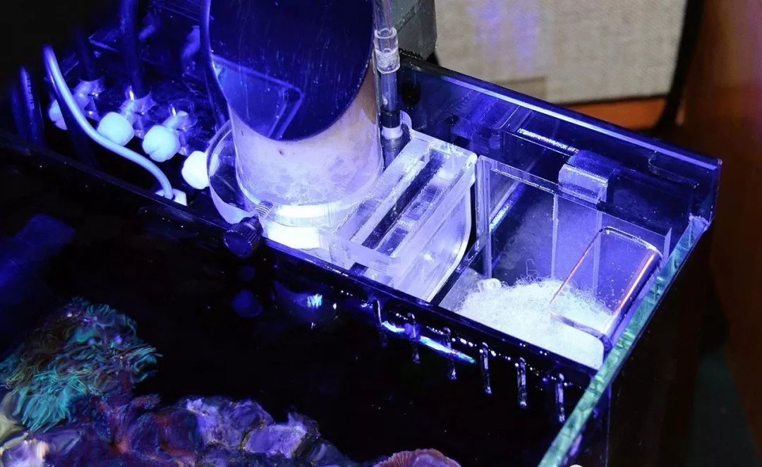 桌面微缸推荐,微缸展示