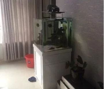 桌面微缸推荐,微缸展示